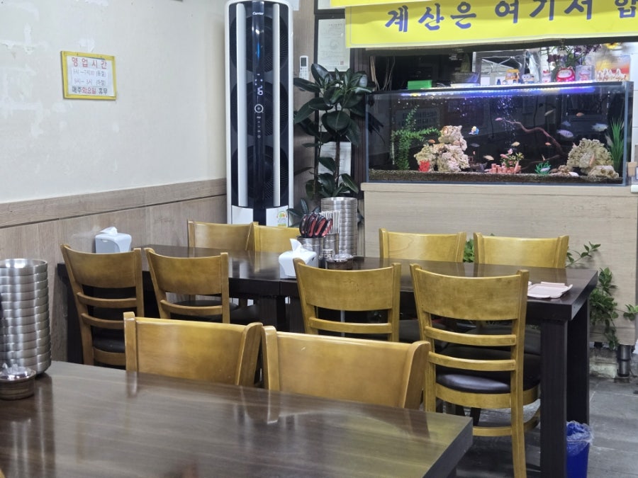 시골손칼국수 사진 2