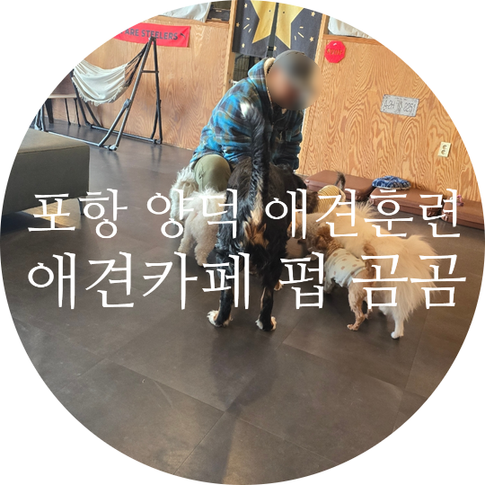사진 4