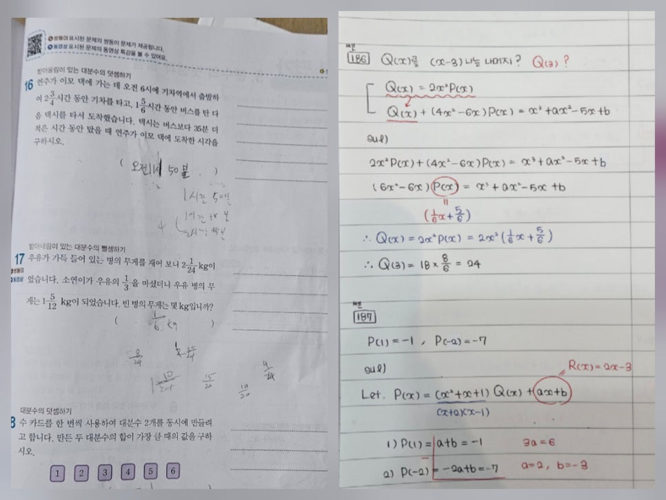 샤이니루트 사진 3