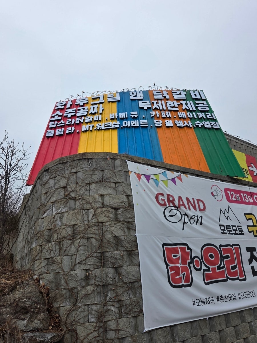 모구닭 사진 6
