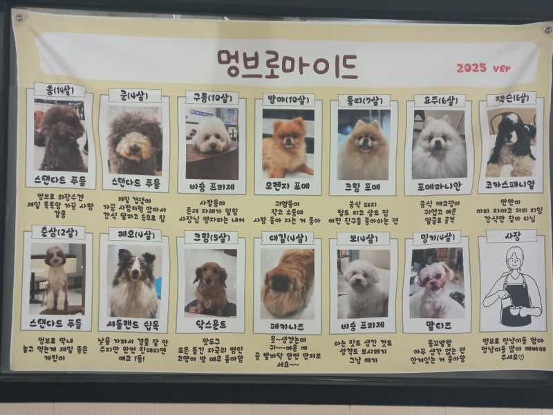 사진 7