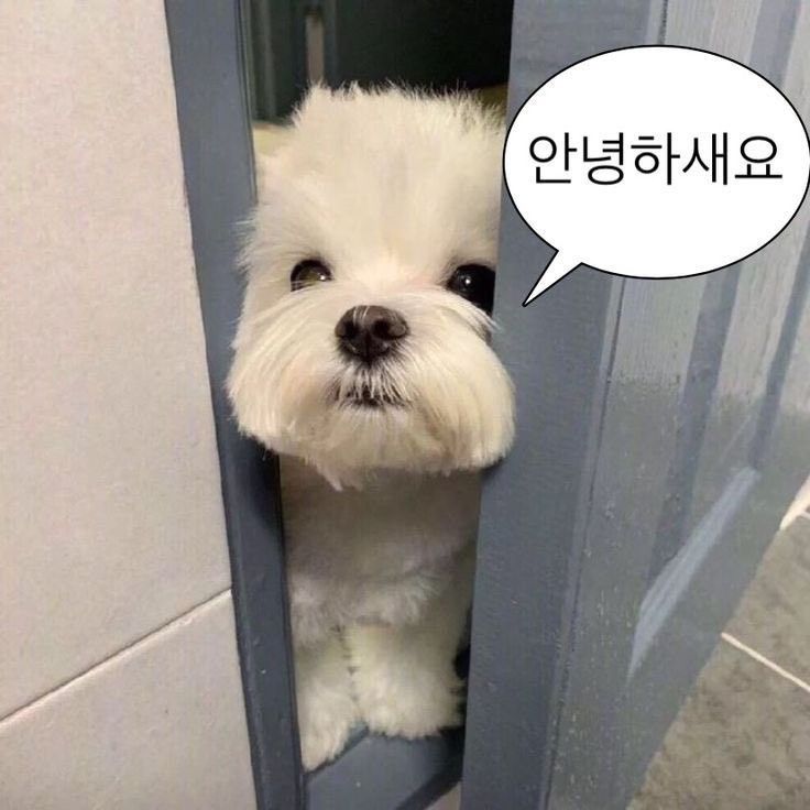 화끈한중식포차 사진 1
