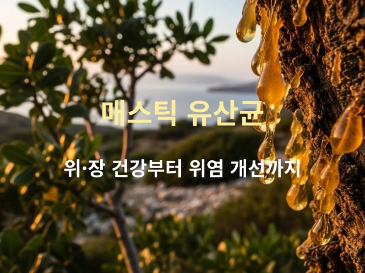  매스틱 유산균 효과 있나요? 위·장 건강·위염 기준 A to Z