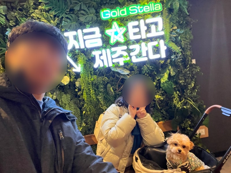 사진 10
