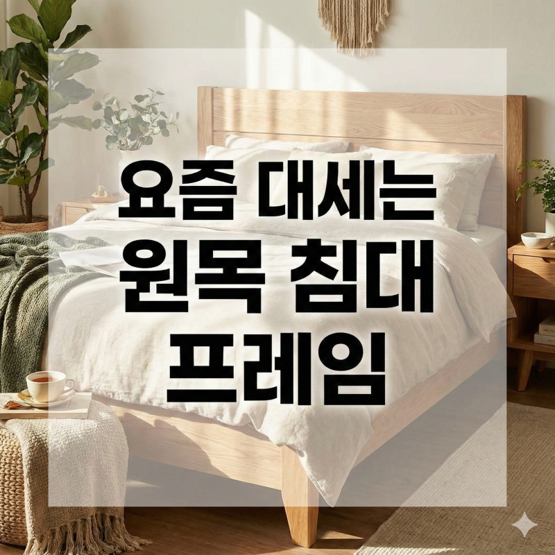 고무나무 원목 침대 프레임, 광주에서 찾는다면?