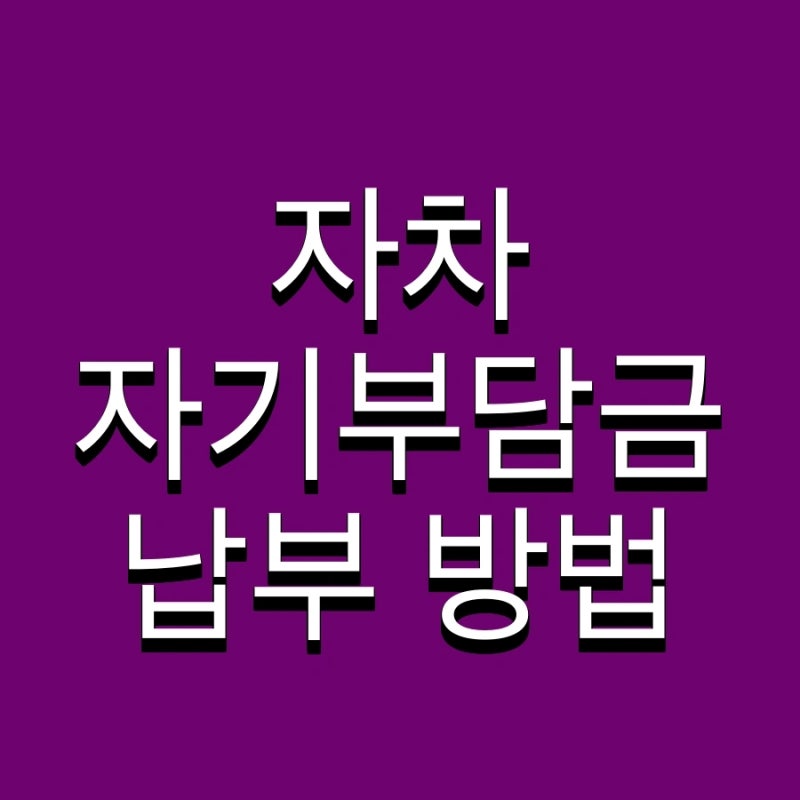 자차 자기부담금 납부 방법 및 환급 최대 카드결제