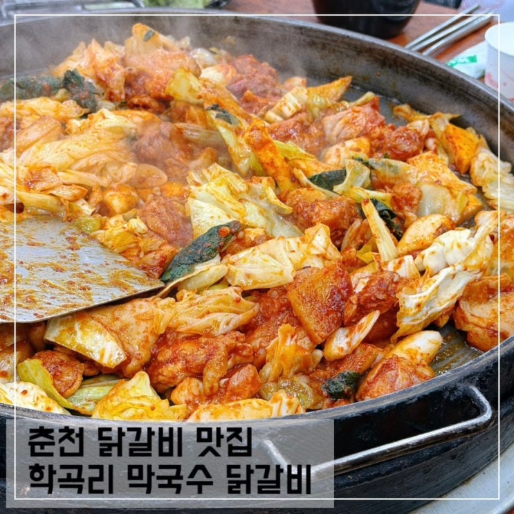  춘천 학곡리 막국수 닭갈비 풍자 또간집 닭갈비 맛집 솔직후기