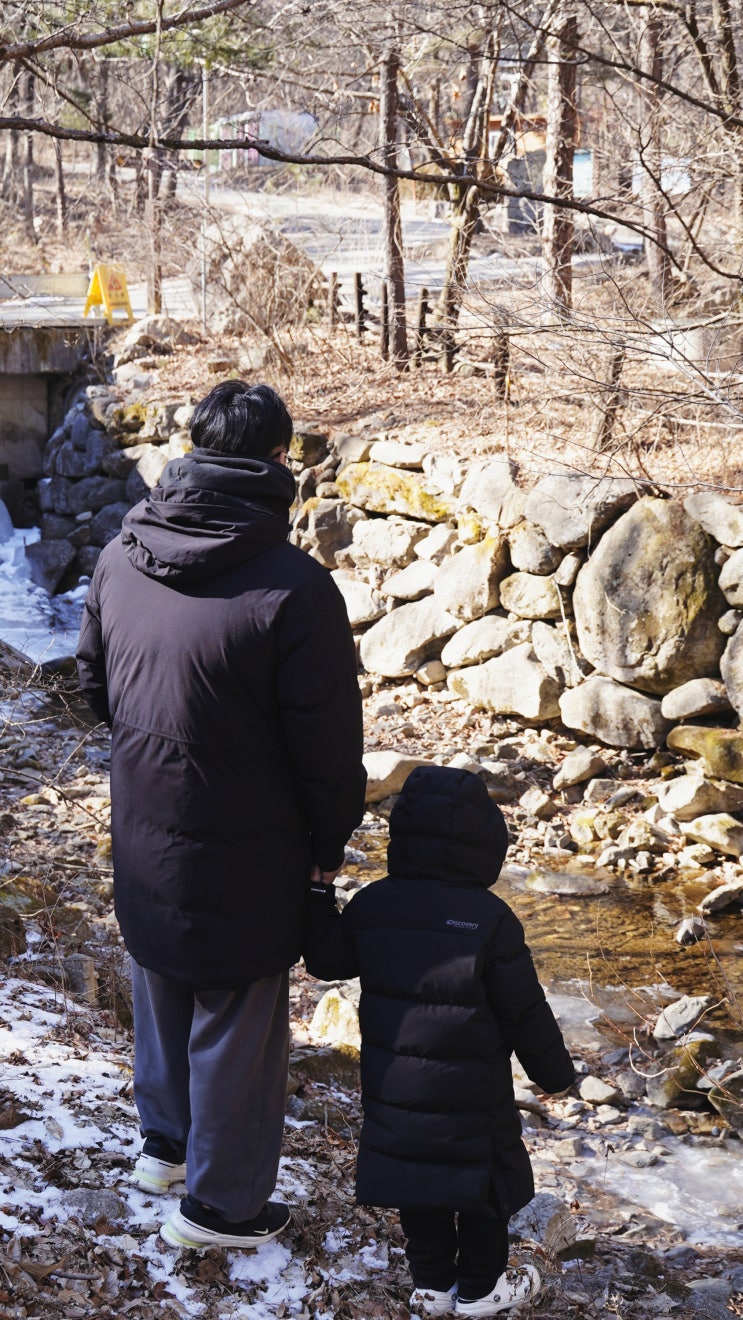  국립자연휴양림 예약 성공 후 양평 산음휴양림 동절기 숙박 후기 및 숲나들e 꿀팁까지