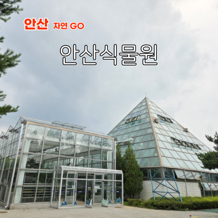  서울 근교 갈만한곳 경기도 아이랑 실내 데이트 안산식물원
