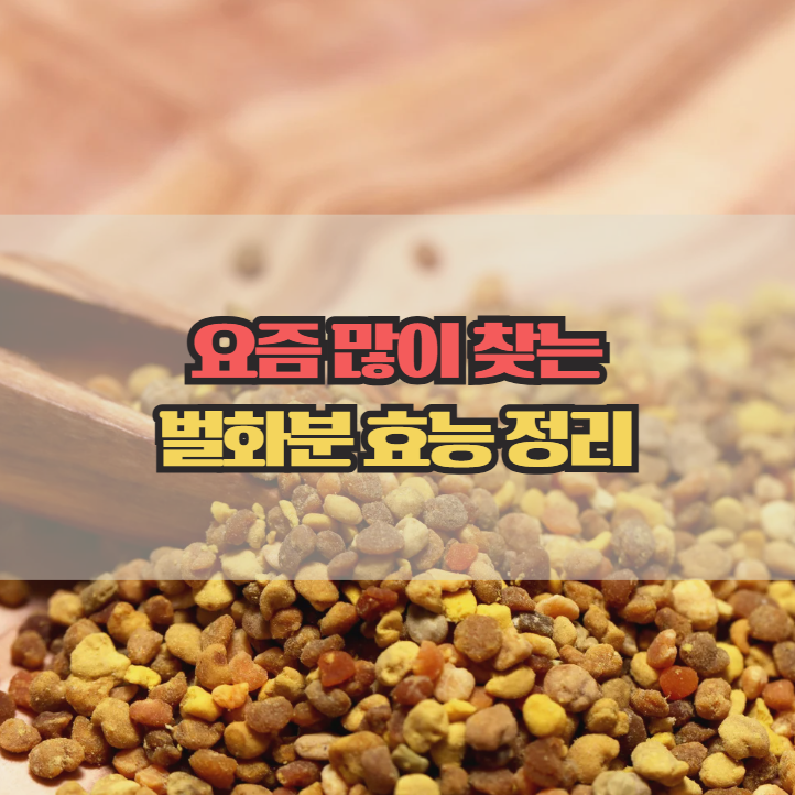  벌화분 효능, 왜 요즘 이렇게 많이 찾을까?
