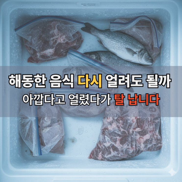  해동 후 재냉동 하면 안 되는 이유 식약처 기준 총정리
