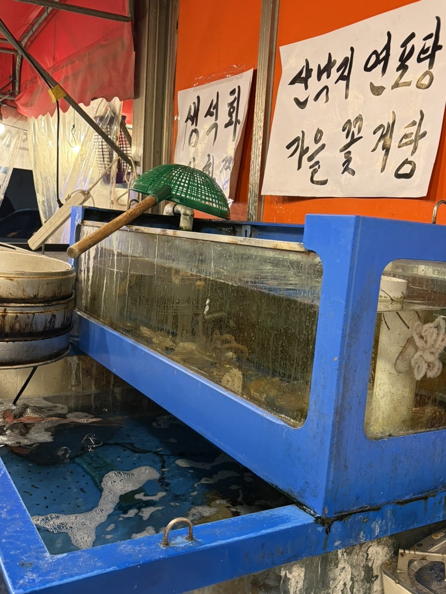 갯바위실내포차 사진 3