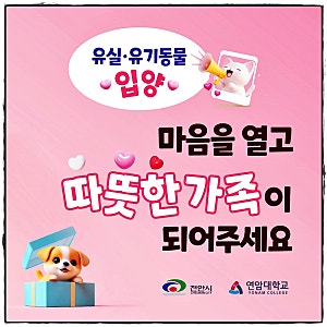 천안유기동물입양방법과 절차, 반려동물입양 지원금과 교육지원 정보