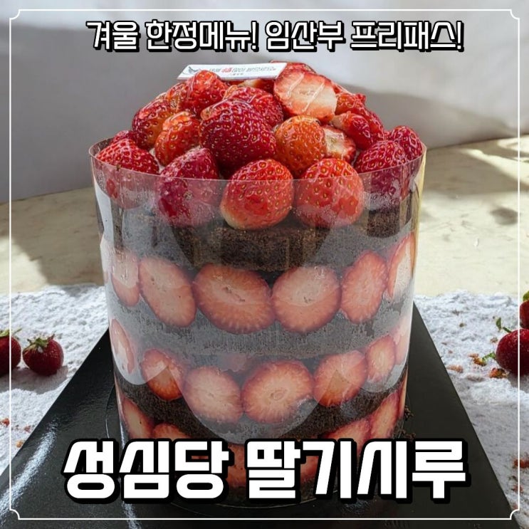  겨울 한정 딸기시루 먹으러 대전 성심당 본점 방문! 임산부 프리패스 후기까지 총정리