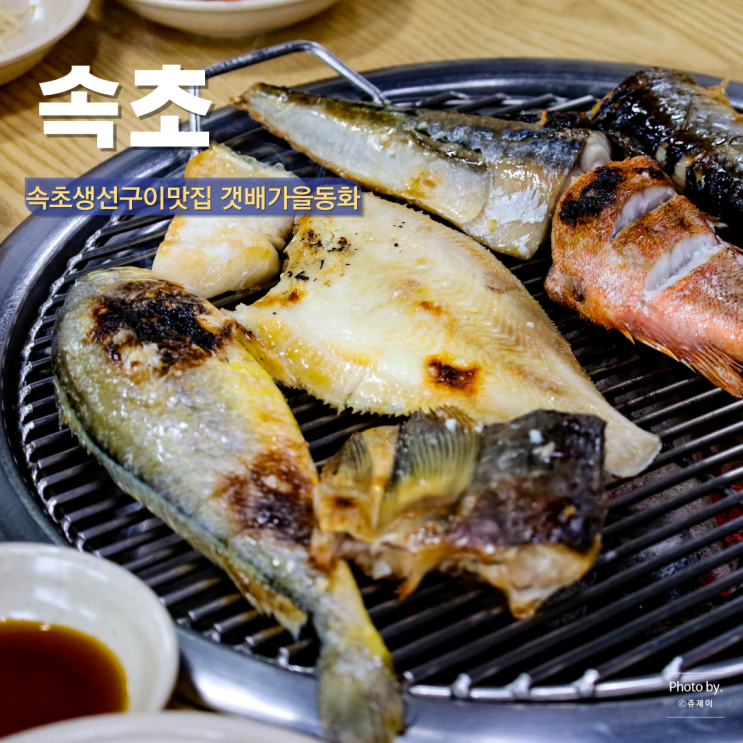  속초 생선구이 맛집 중앙시장 아바이마을 근처 아침식사 갯배가을동화