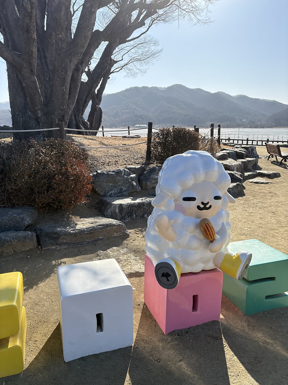 고바우 사진 2