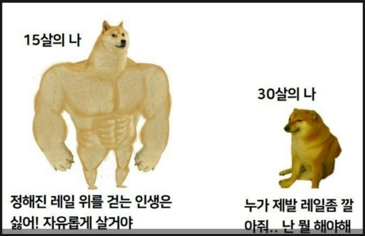  [인간지사 인사이트 #3] 네 기둥에 담긴 이야기 ::운명을 넘어 숙명을 껴안는 법 (역술인 선생님 N과의 대화)