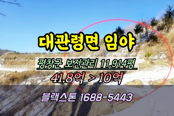  평창군 임야 경매 대관령면 1만평대 2024타경2270