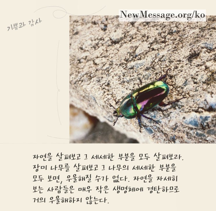  자연을 자세히 보는 사람들은 거의 우울해하지 않는다
