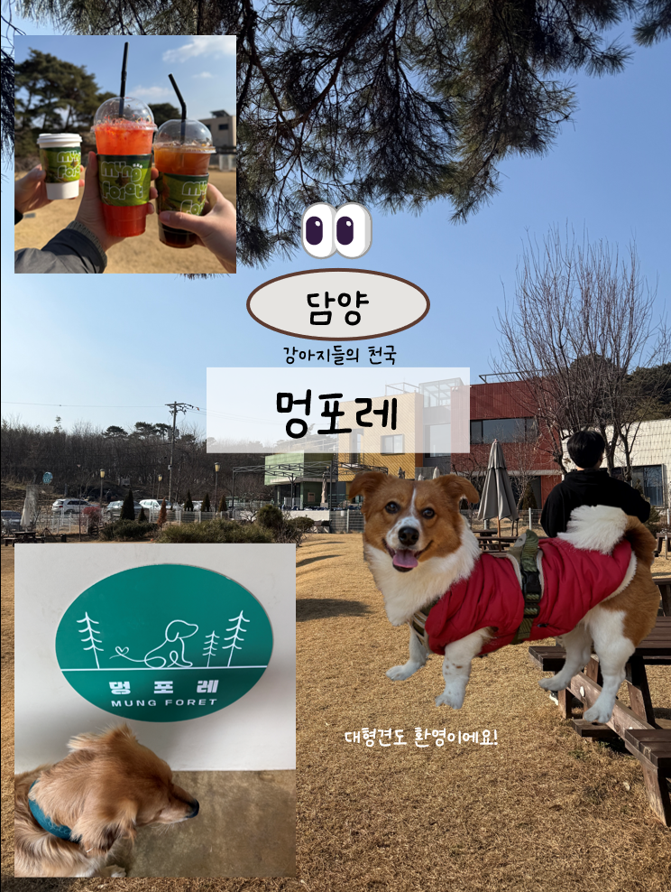 멍포레 — 담양군