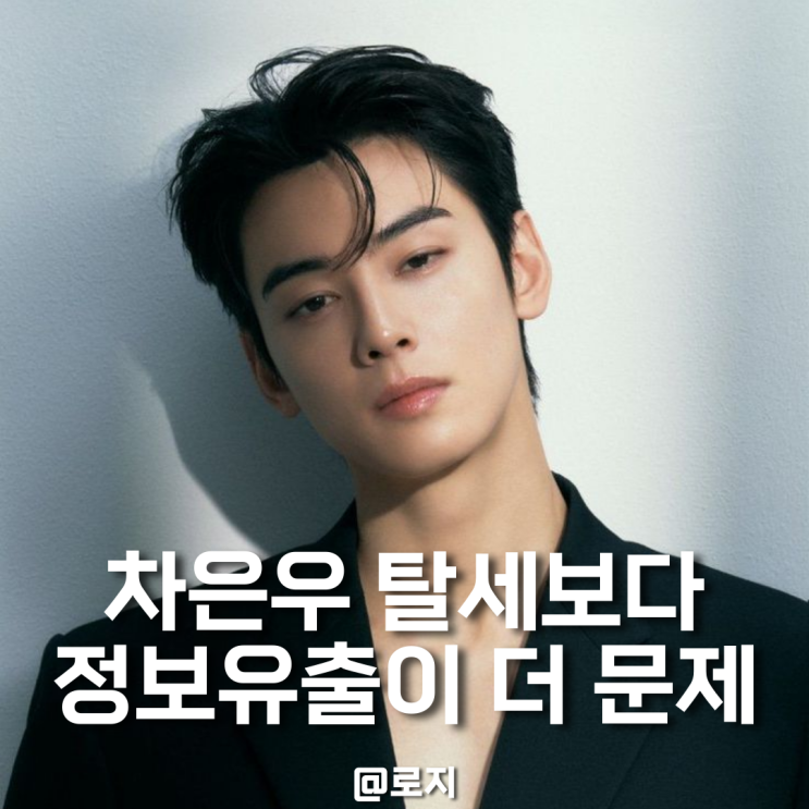  200억 탈세? 차은우 세무조사 논란 과세정보 유출이 문제.