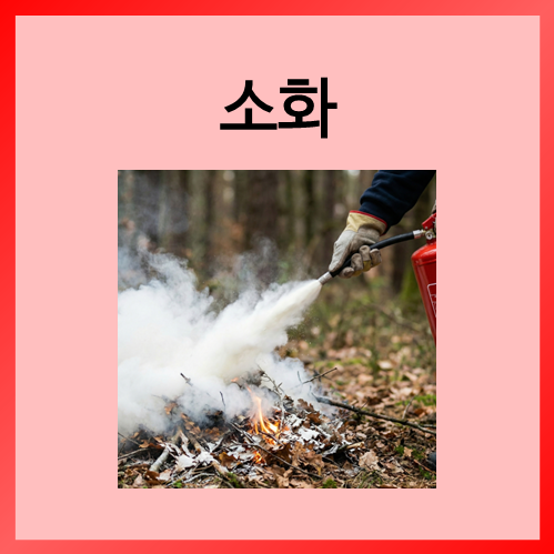  [초등화학]소화