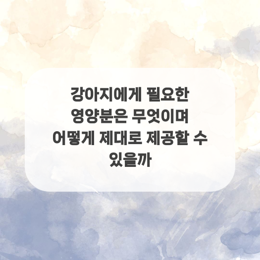  강아지에게 필요한 영양분은 무엇이며 어떻게 제대로 제공할 수 있을까