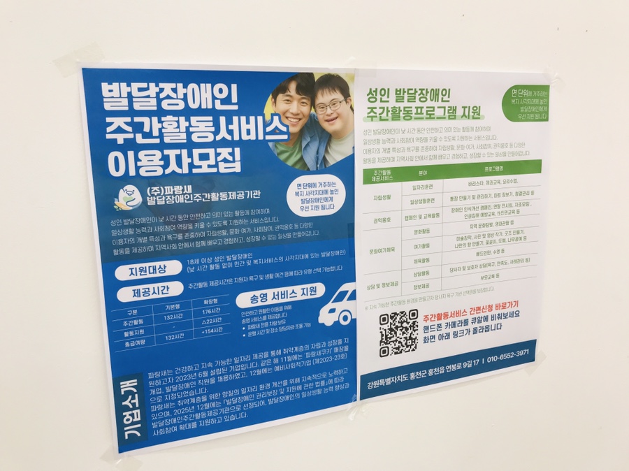 파랑새 사진 4