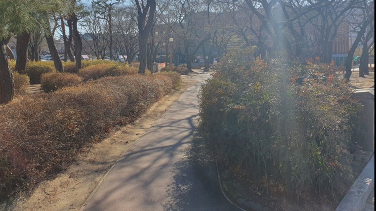  우수 경칩 날짜 봄을 알리는 절기 제대로 알아보기
