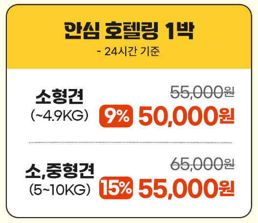 사진 3