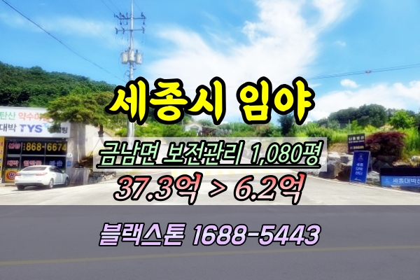  세종시 금남면 임야 경매 대박리 1천평 ️2024타경4940