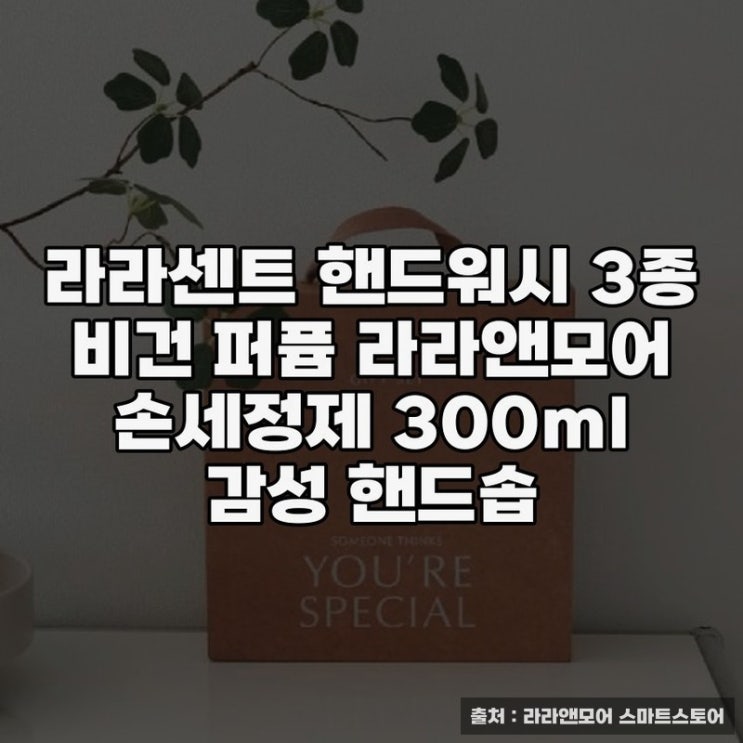  라라센트 핸드워시 3종으로 깨끗한 손길을 경험해요