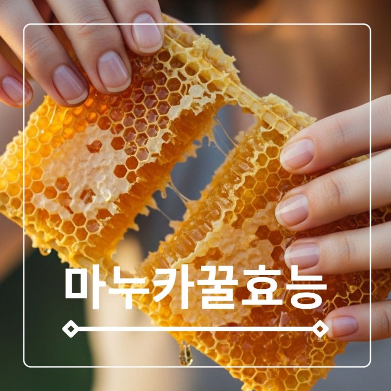 호주 마누카꿀 효능 부작용 칼로리 먹는법활용