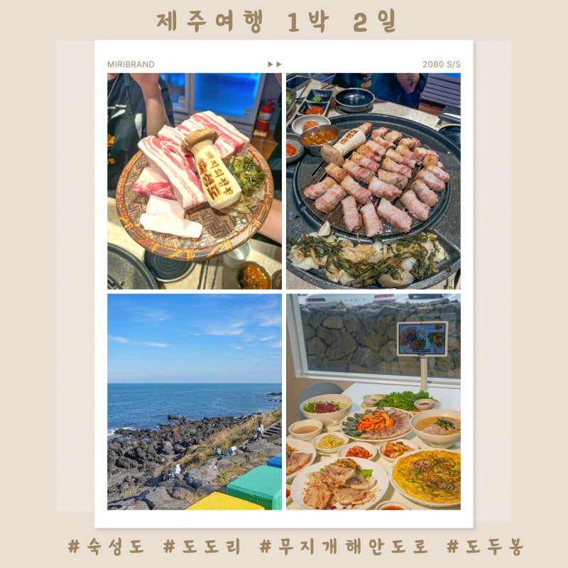 사진 5