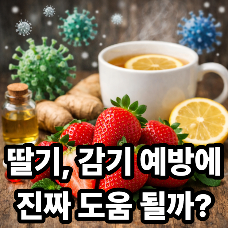  딸기 면역력에 좋은 이유  감기 예방에 정말 도움 될까?