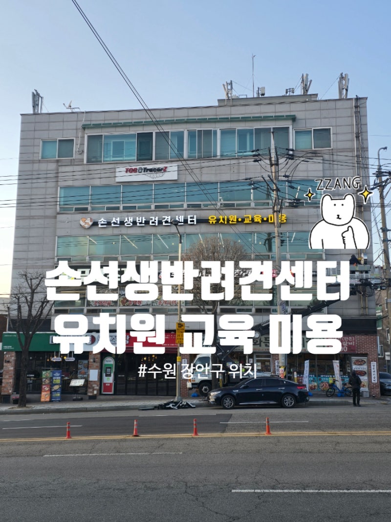 손선생반려견센터