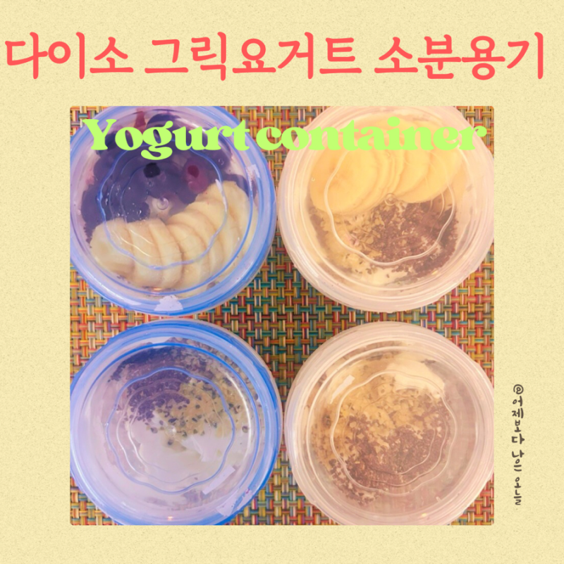 다이소 그릭요거트 소분용기 보관용기 추천