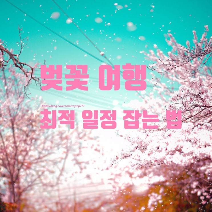  2026 일본 벚꽃 개화 시기 & 만개 예상일｜벚꽃 여행 최적 일정 잡는 법
