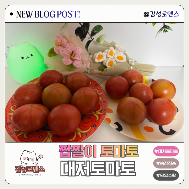 맛있는 단짠 단짠 짭짤이토마토 대저토마토