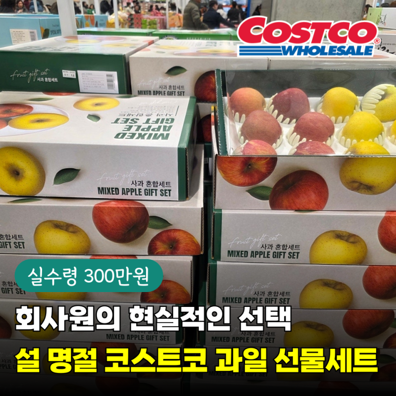 실수령 300만원 회사원이라 부담됐지만..설 명절 코스트코 과일 선물세트 결국 담았어요