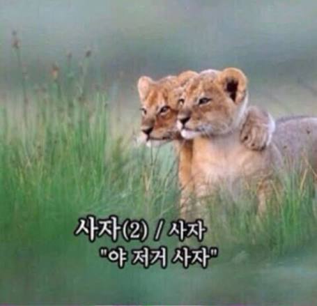  [부동산] 서울 아파트 5일장 again? 5월 양도세 데드라인, 준비된 자에겐 '인생 바겐세일'인 이유