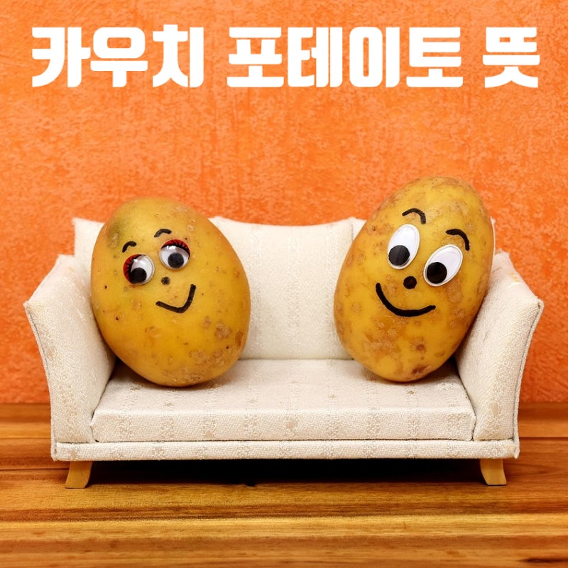 카우치 포테이토 뜻 쉬운 설명