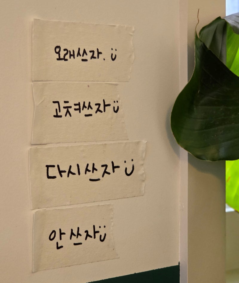 사진 6