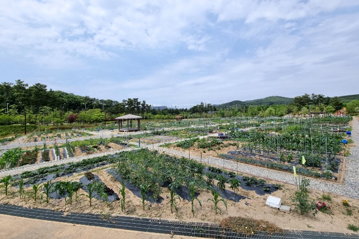 인천중구시설관리공단, 2026년 도시농업활동 참여자 모집