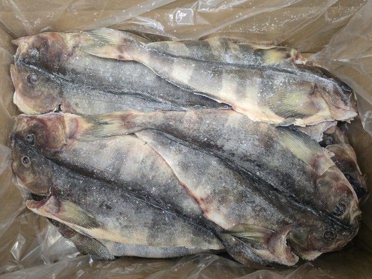  러시아 냉동 임연수 M 사이즈 결품 예정, 3월 중순 이후 통관 예정입니다