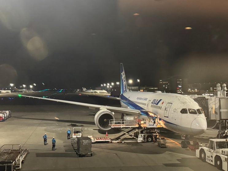  [20260210] 전일본공수 NH 867 도쿄 하네다 → 서울 김포 이코노미 탑승 후기 (HND→GMP)