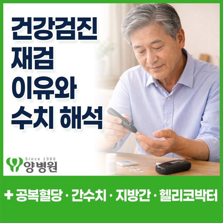  건강검진 재검 이유 정리 해석 가이드 – 공복혈당·간수치·지방간·헬리코박터