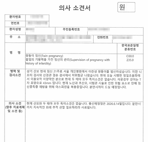 시험관 이란성 쌍둥이 태아보험 가입 후기 및 총정리/가입 시기/필요 서류/심사 과정/쌍둥이....