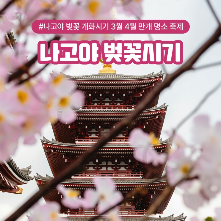  나고야 벚꽃 개화시기 3월 4월 만개 명소 축제