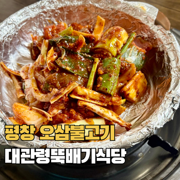  평창 대관령뚝배기식당 오삼불고기 용평리조트 알펜시아 스키장 현지인 맛집